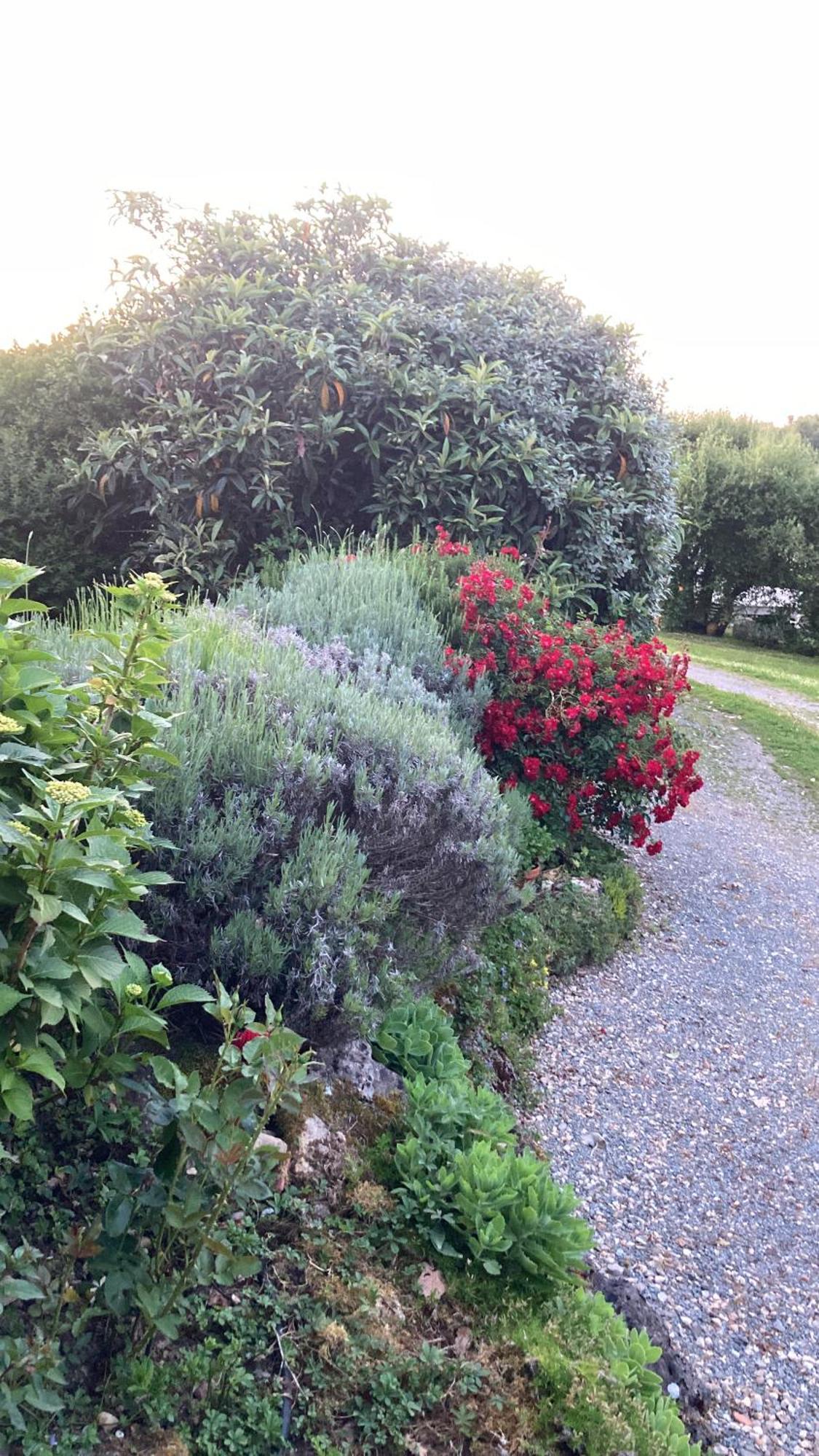 Bed and Breakfast Au Bras D'Argent Berthez Экстерьер фото